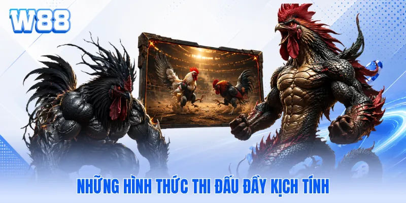 Những hình thức thi đấu đầy kịch tính Những hình thức thi đấu đầy kịch tính